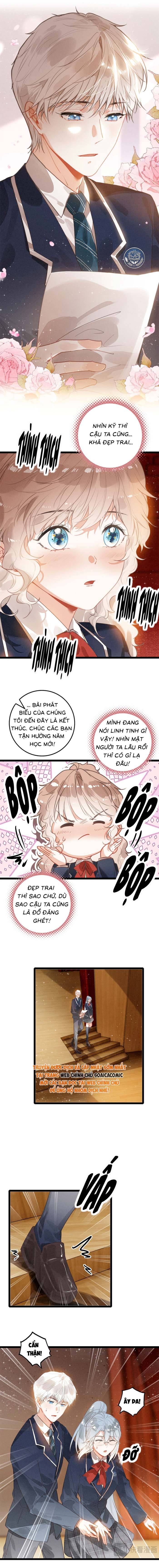 Khi Tôi Xuyên Vào Gia Đình Toàn Phản Diện - Chap 57 - Trang 7