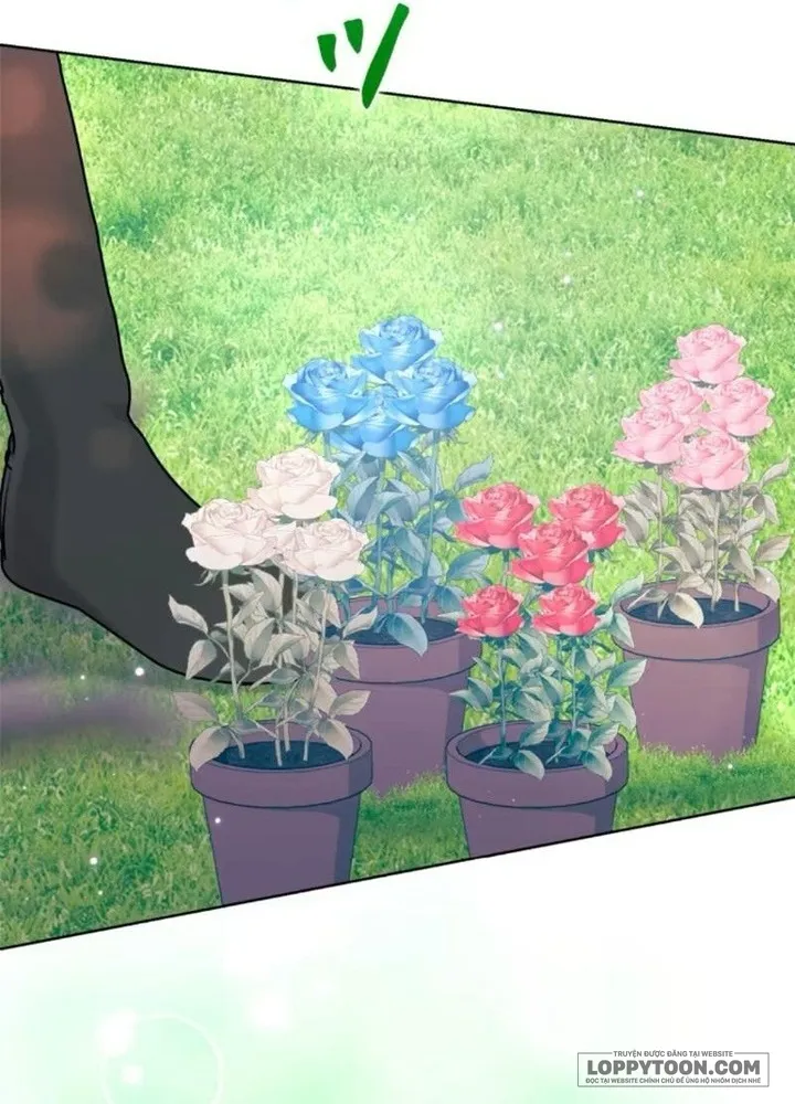 Không Cần Hối Hận - Chap 25 - Trang 68