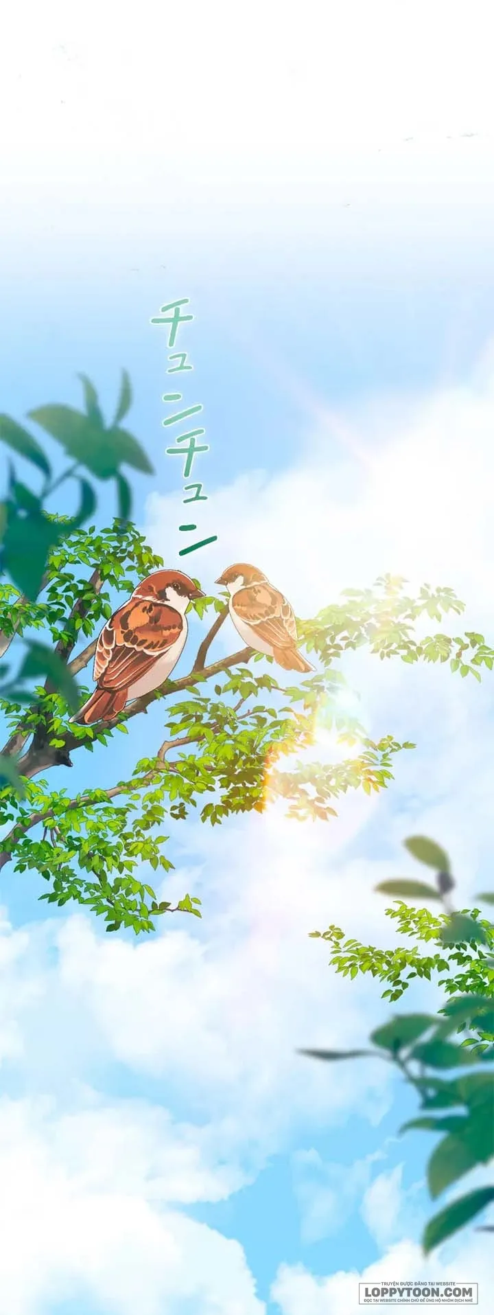 Không Cần Hối Hận - Chap 28 - Trang 1