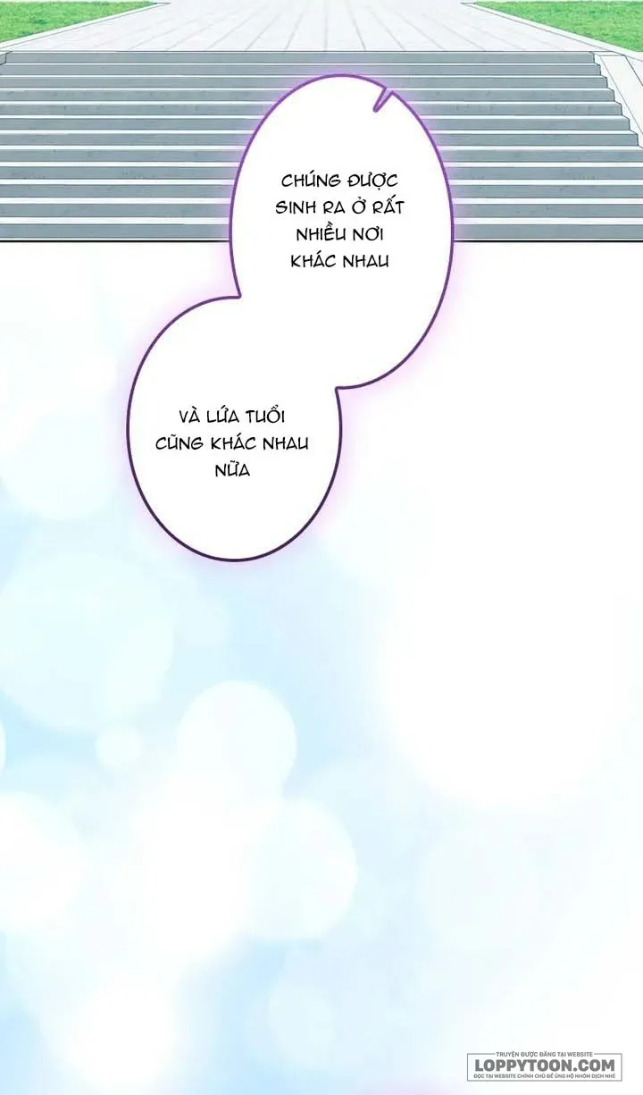 Không Cần Hối Hận - Chap 29 - Trang 15