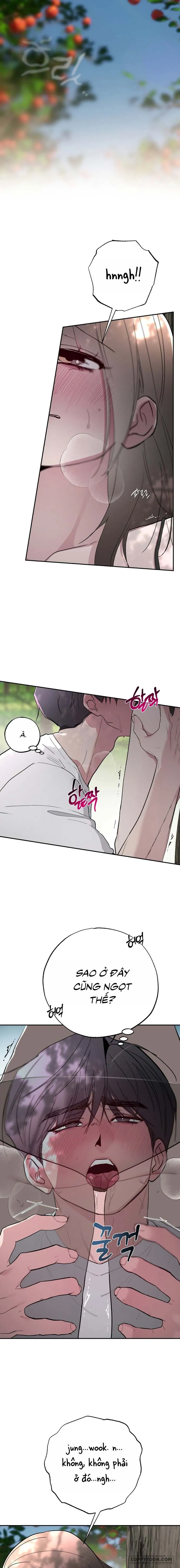 [KHÔNG CHE] Ẩn Tình Nơi Vườn Cây Ăn Quả - Chap 5 - Trang 8