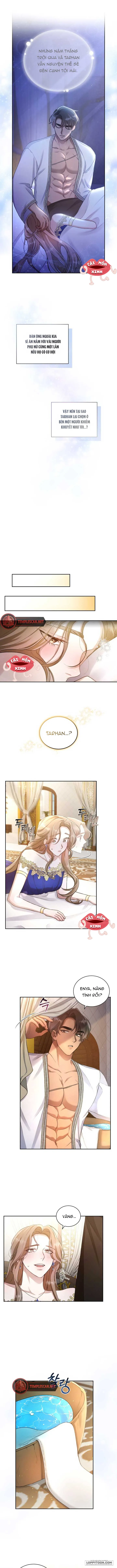 Khu Rừng Hoang Dã - Chap 1 - Trang 6