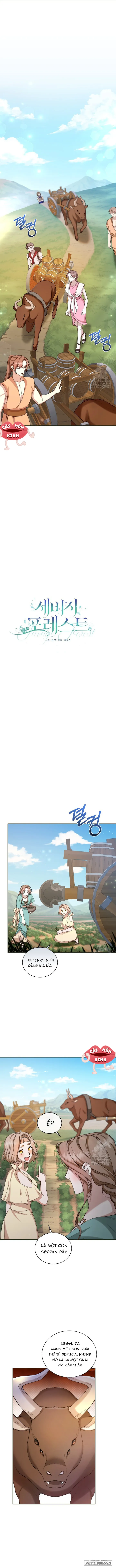 Khu Rừng Hoang Dã - Chap 13 - Trang 1