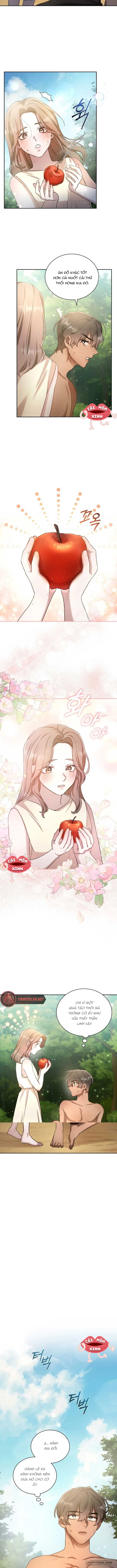 Khu Rừng Hoang Dã - Chap 2 - Trang 11