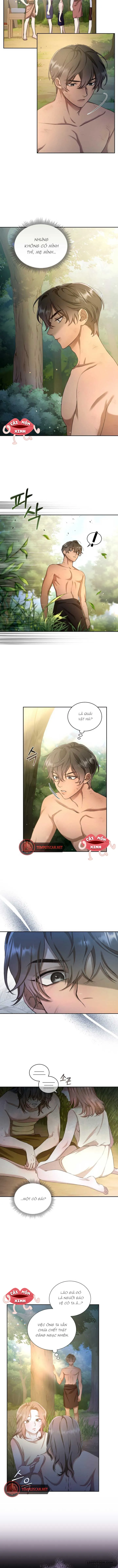 Khu Rừng Hoang Dã - Chap 2 - Trang 4