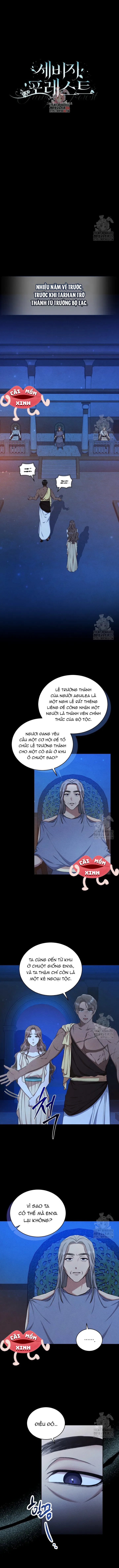 Khu Rừng Hoang Dã - Chap 20 - Trang 1