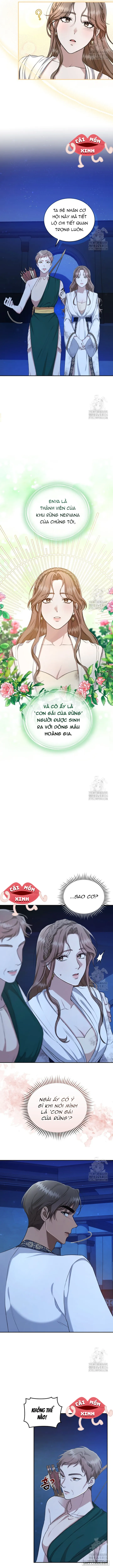 Khu Rừng Hoang Dã - Chap 20 - Trang 8