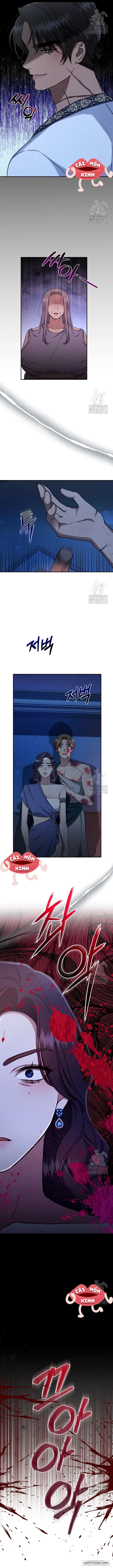 Khu Rừng Hoang Dã - Chap 21 - Trang 12