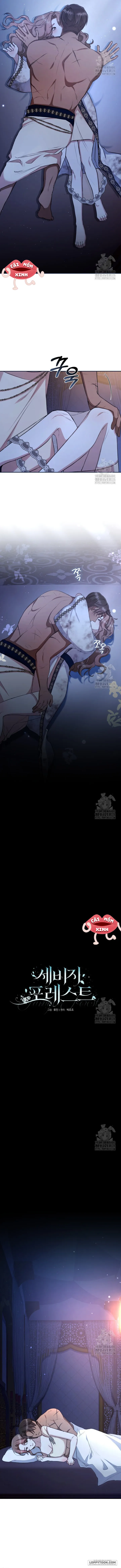 Khu Rừng Hoang Dã - Chap 22 - Trang 5