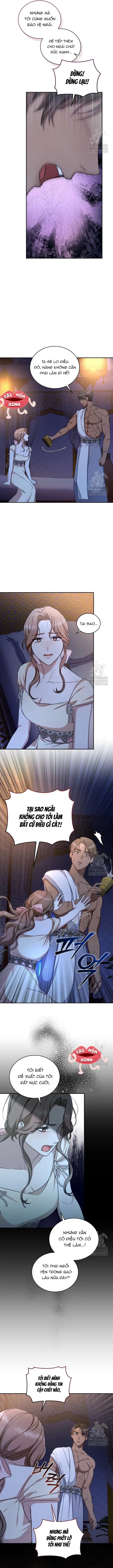 Khu Rừng Hoang Dã - Chap 22 - Trang 8