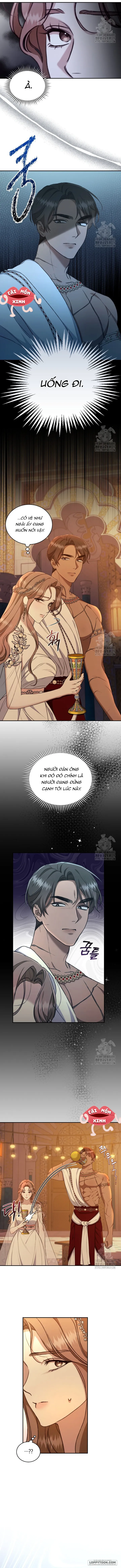 Khu Rừng Hoang Dã - Chap 23 - Trang 10