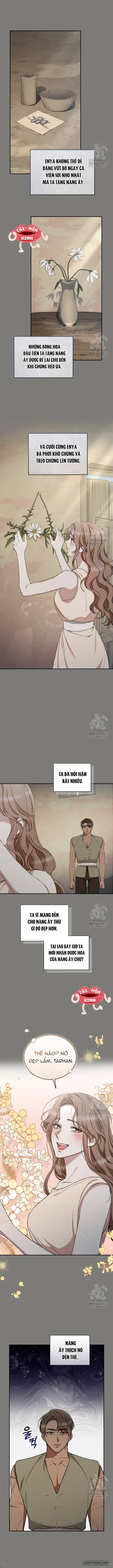Khu Rừng Hoang Dã - Chap 26 - Trang 11