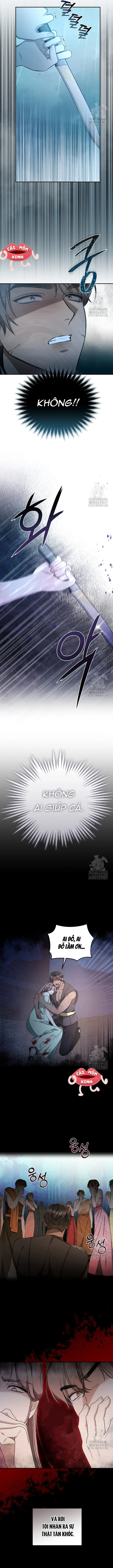 Khu Rừng Hoang Dã - Chap 29 - Trang 8