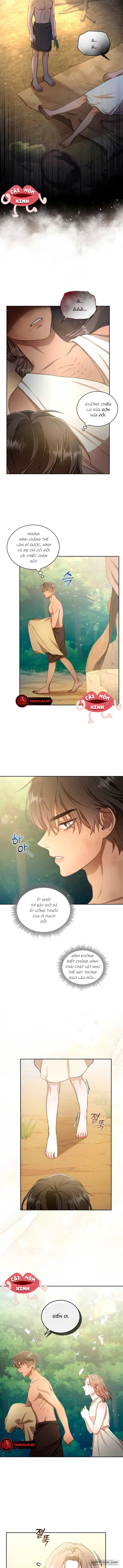 Khu Rừng Hoang Dã - Chap 3 - Trang 3