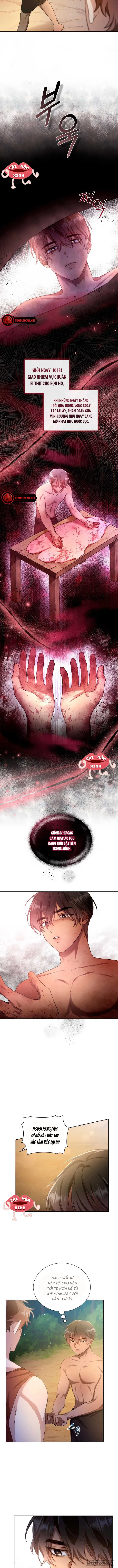 Khu Rừng Hoang Dã - Chap 3 - Trang 10