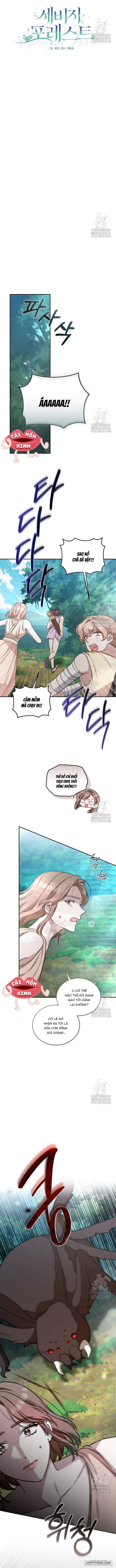 Khu Rừng Hoang Dã - Chap 39 - Trang 3