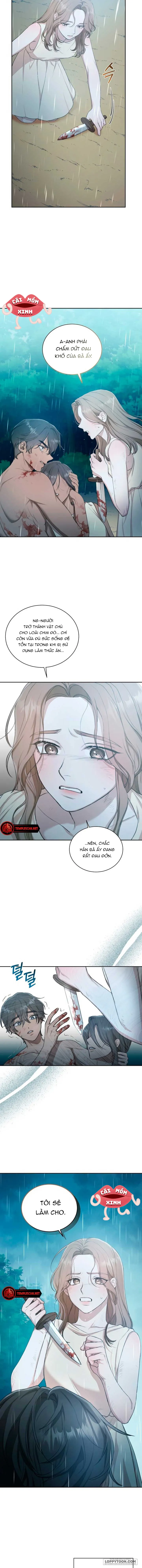 Khu Rừng Hoang Dã - Chap 4 - Trang 14