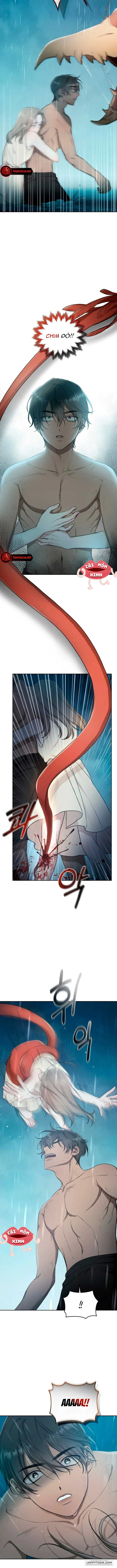 Khu Rừng Hoang Dã - Chap 4 - Trang 8