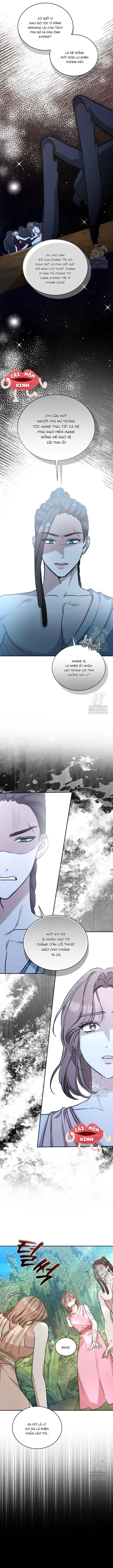 Khu Rừng Hoang Dã - Chap 40 - Trang 3