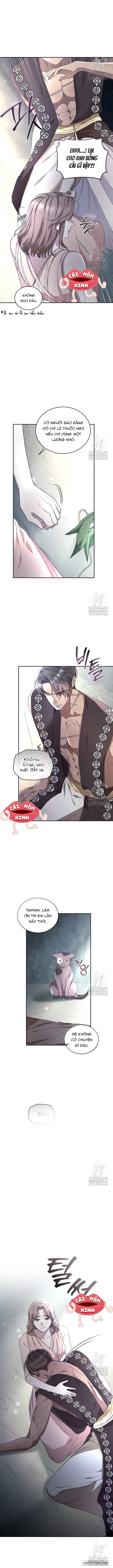 Khu Rừng Hoang Dã - Chap 46 - Trang 13
