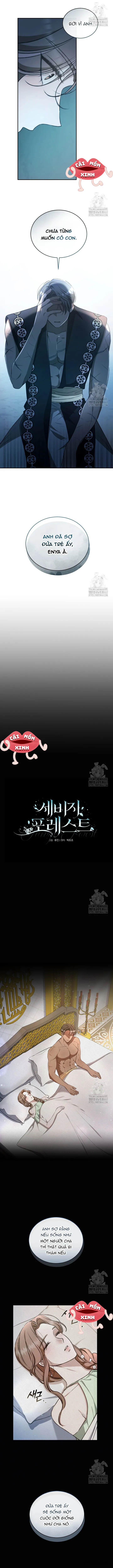Khu Rừng Hoang Dã - Chap 46 - Trang 5