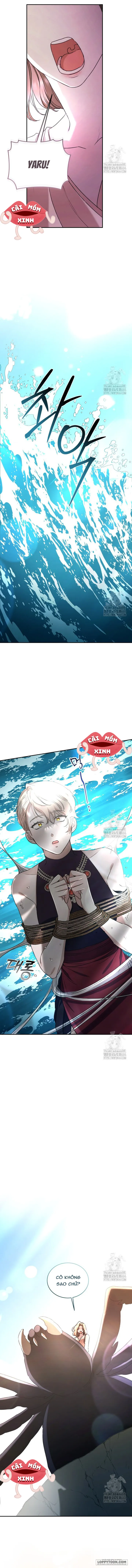 Khu Rừng Hoang Dã - Chap 48 - Trang 15