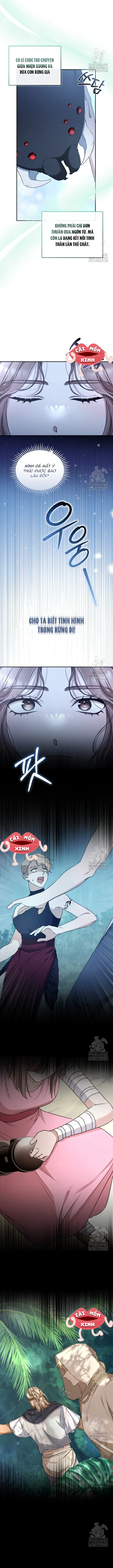 Khu Rừng Hoang Dã - Chap 49 - Trang 5