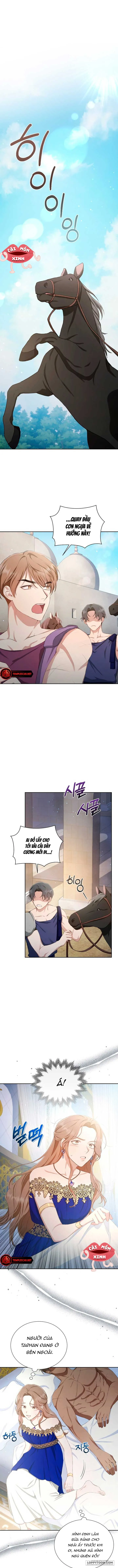 Khu Rừng Hoang Dã - Chap 5 - Trang 6