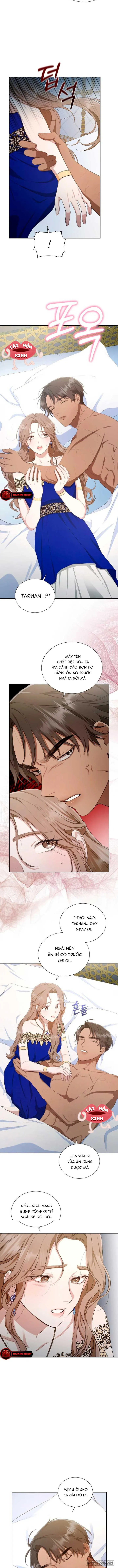 Khu Rừng Hoang Dã - Chap 5 - Trang 7