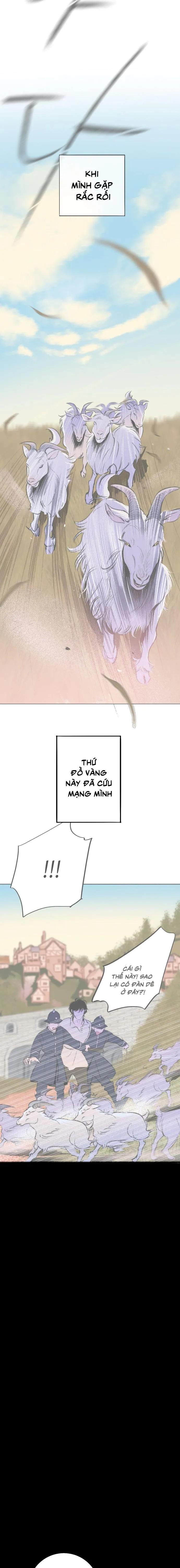 Khu Vườn Bí Mật - Chap 2 - Trang 5