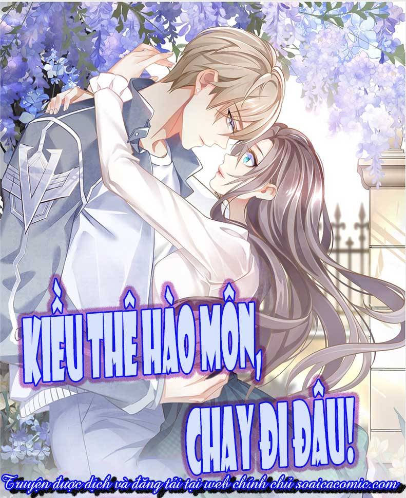 Kiều Thê Hào Môn Chạy Đi Đâu - Chap 3 - Trang 1