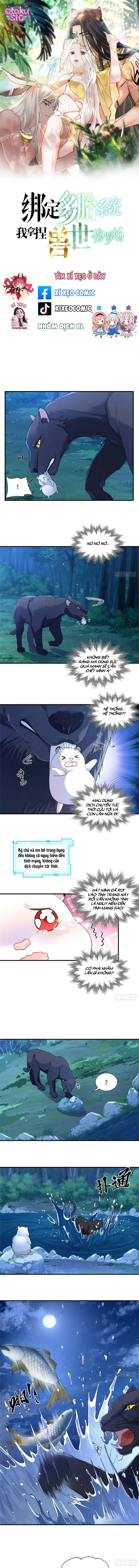 Ký Kết Hệ Thống Đa Thai, Ta Làm Chủ Tu La Trường Giới Thú Nhân - Chap 10 - Trang 1