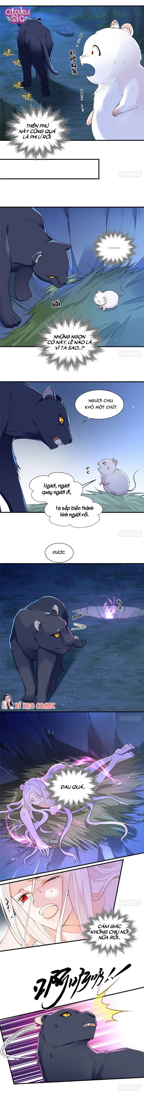 Ký Kết Hệ Thống Đa Thai, Ta Làm Chủ Tu La Trường Giới Thú Nhân - Chap 11 - Trang 3