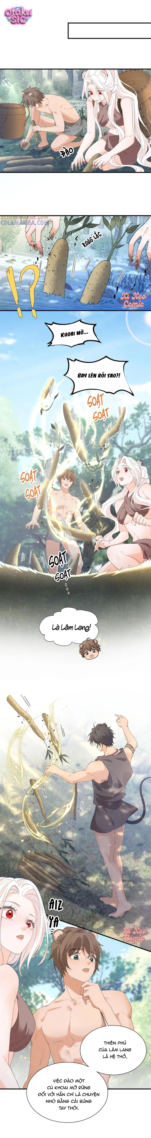 Ký Kết Hệ Thống Đa Thai, Ta Làm Chủ Tu La Trường Giới Thú Nhân - Chap 18 - Trang 2