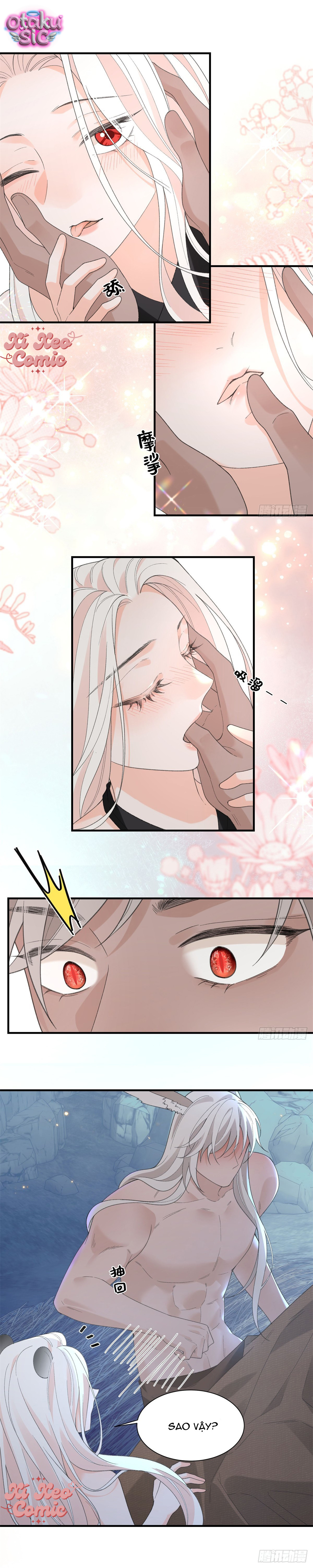 Ký Kết Hệ Thống Đa Thai, Ta Làm Chủ Tu La Trường Giới Thú Nhân - Chap 29 - Trang 8