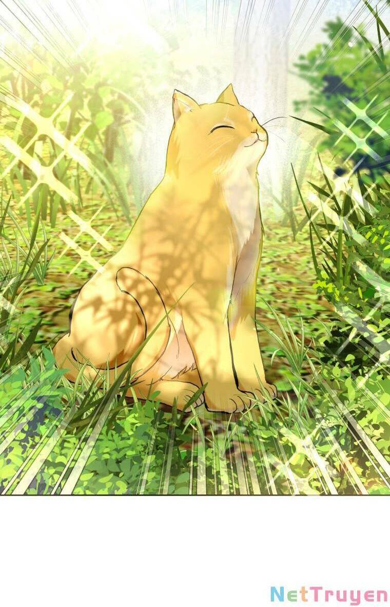 Làm Ác Nữ Bộ Không Tuyệt Sao? - Chap 34 - Trang 48