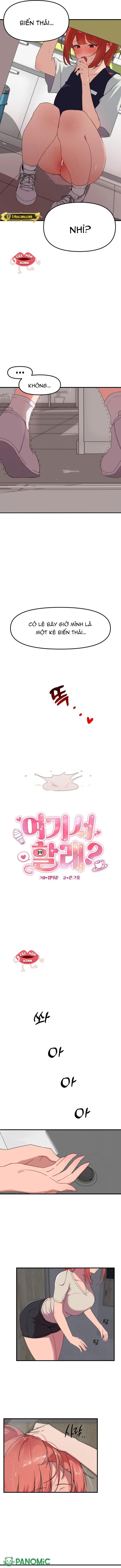 Làm Luôn Ở Đây Nhé? - Chap 1 - Trang 5