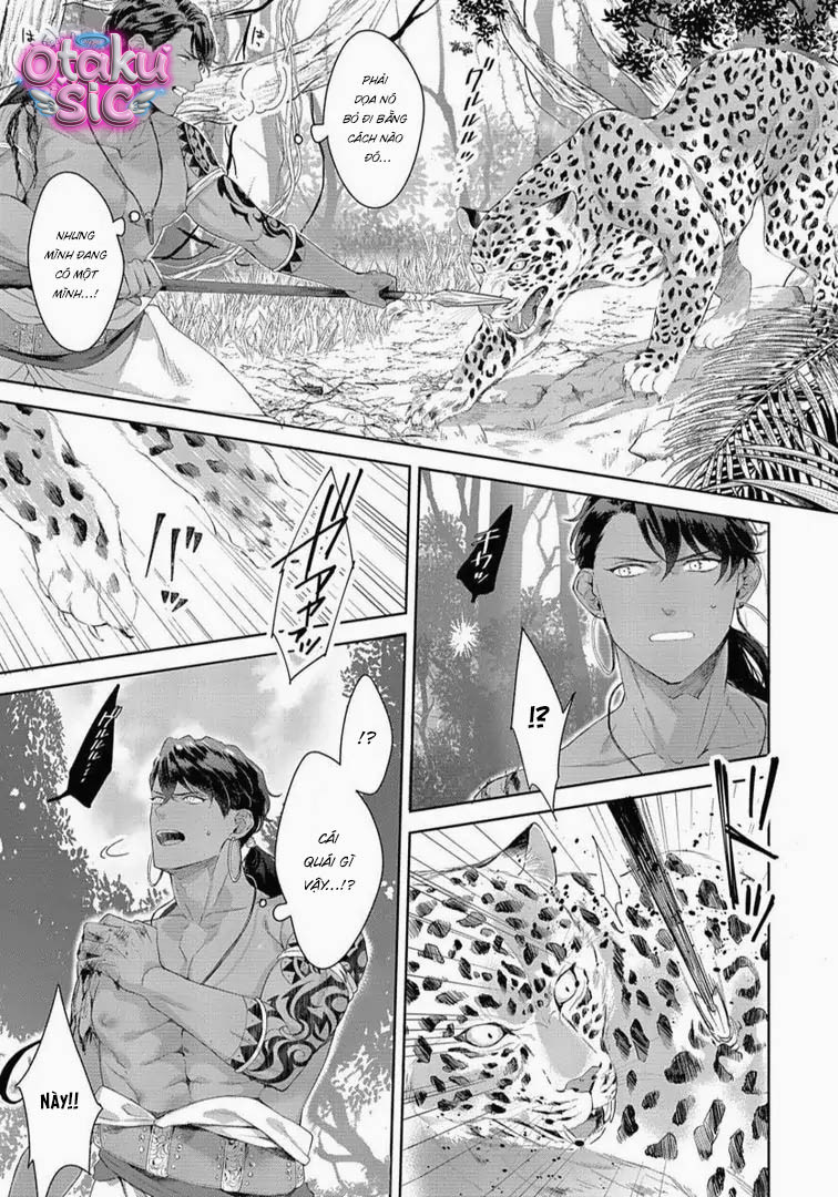 Lễ Vật Của Tộc Cá Mập - Chap 1 - Trang 12