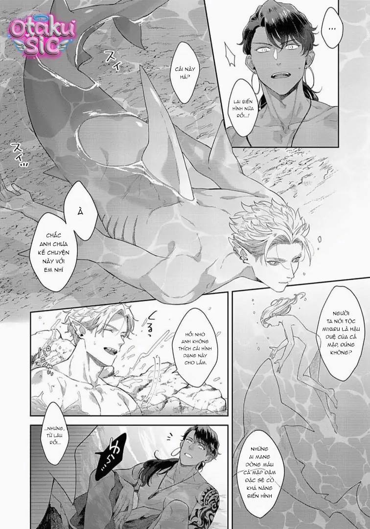 Lễ Vật Của Tộc Cá Mập - Chap 3 - Trang 4