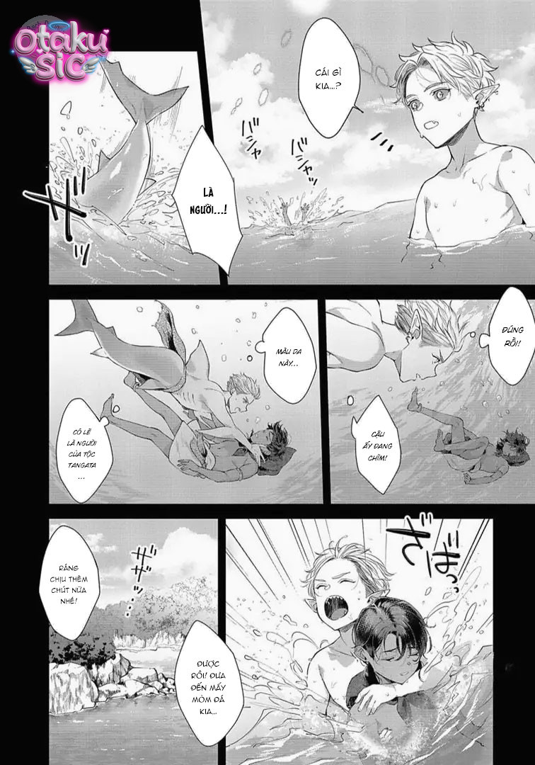 Lễ Vật Của Tộc Cá Mập - Chap 5 - Trang 24