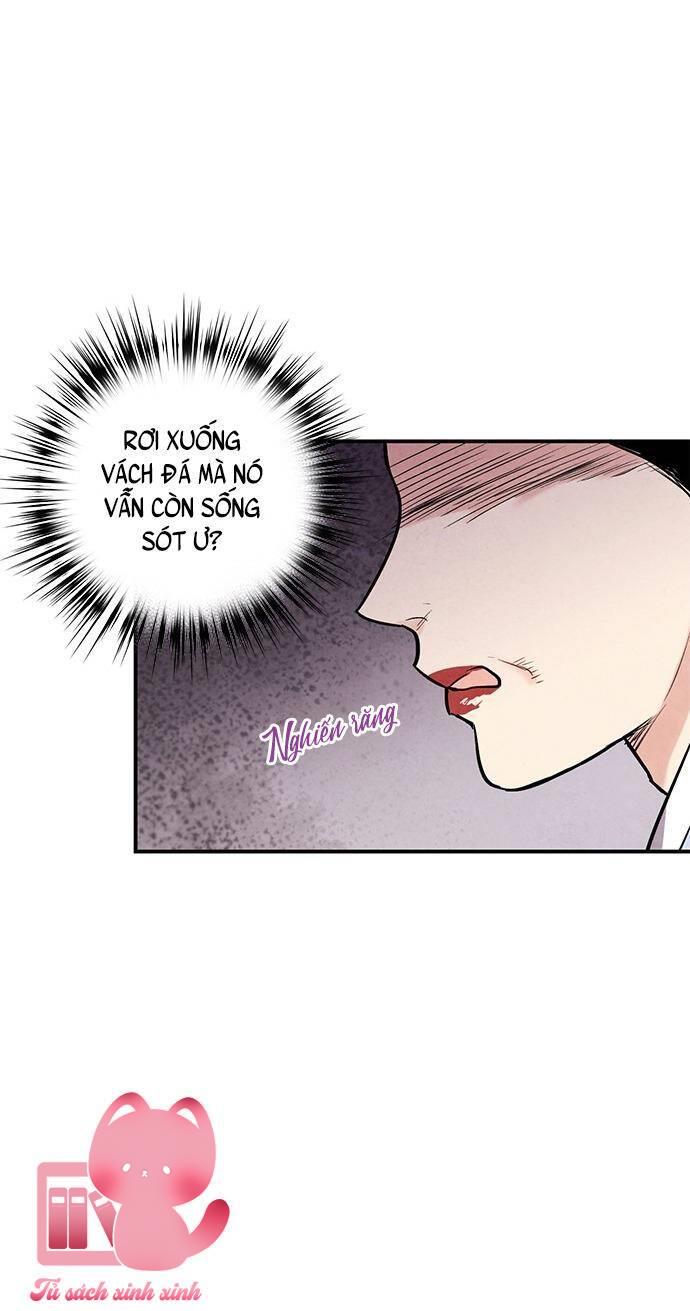 Lệnh Cấm Hôn - Chap 41 - Trang 19
