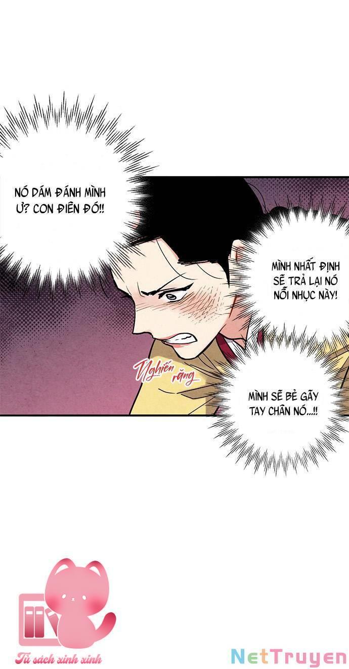 Lệnh Cấm Hôn - Chap 81 - Trang 19