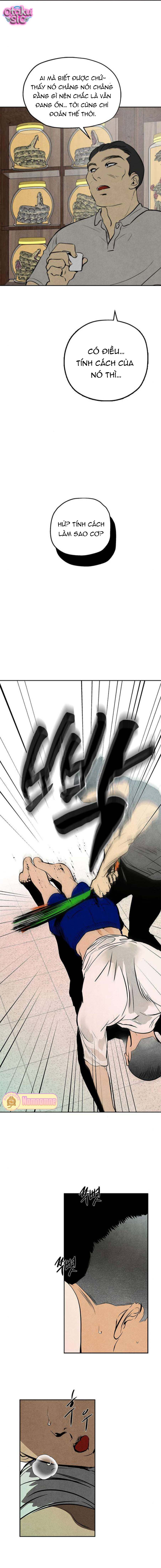 Lệnh Kẻ Khuất Mặt - Chap 2 - Trang 31