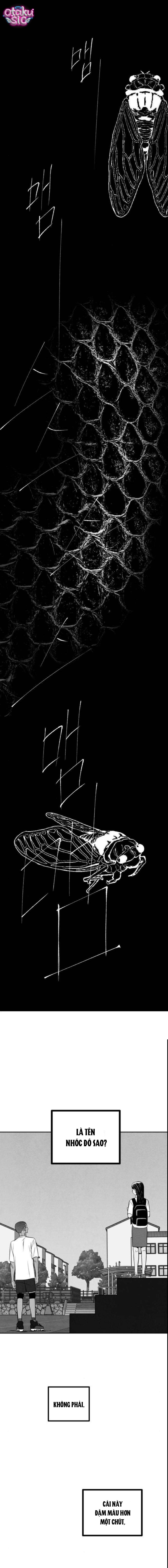 Lệnh Kẻ Khuất Mặt - Chap 4 - Trang 10