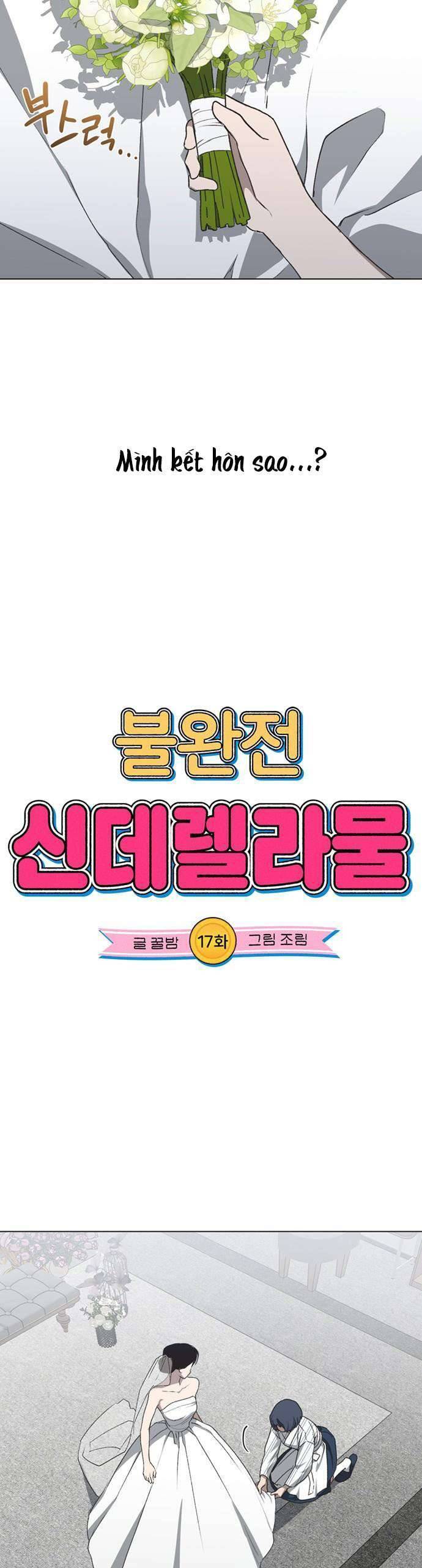 Lọ Lem Không Hoàn Hảo - Chap 17 - Trang 7