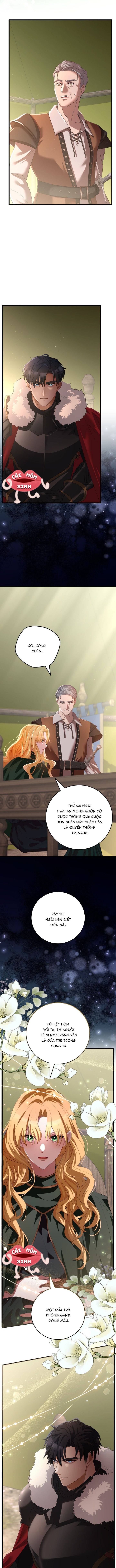 Lời Cầu Hôn Hoang Dã - Chap 1 - Trang 27