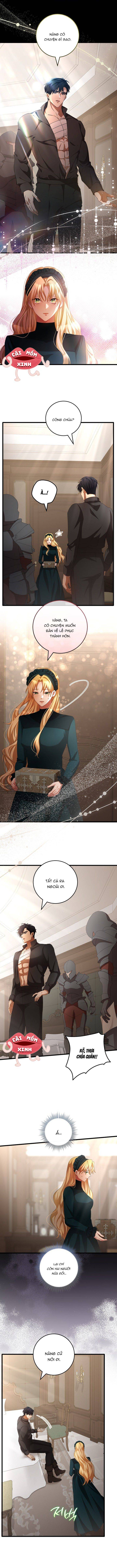 Lời Cầu Hôn Hoang Dã - Chap 13 - Trang 8