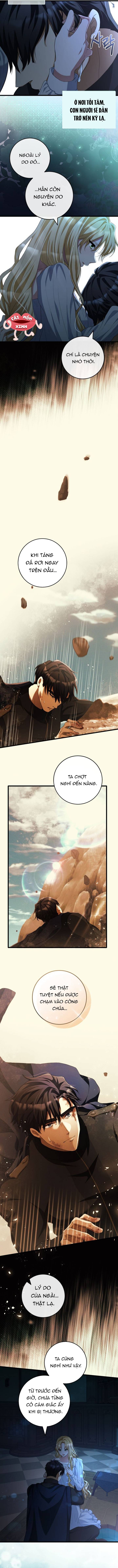 Lời Cầu Hôn Hoang Dã - Chap 22 - Trang 11
