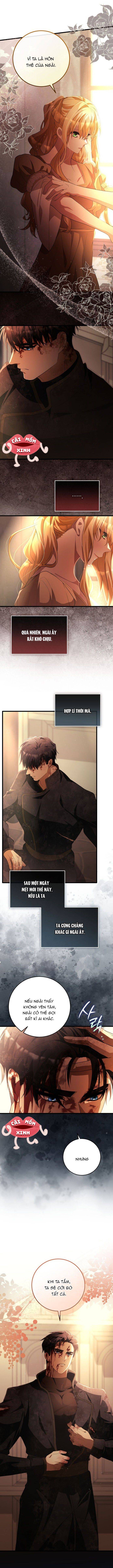 Lời Cầu Hôn Hoang Dã - Chap 32 - Trang 6