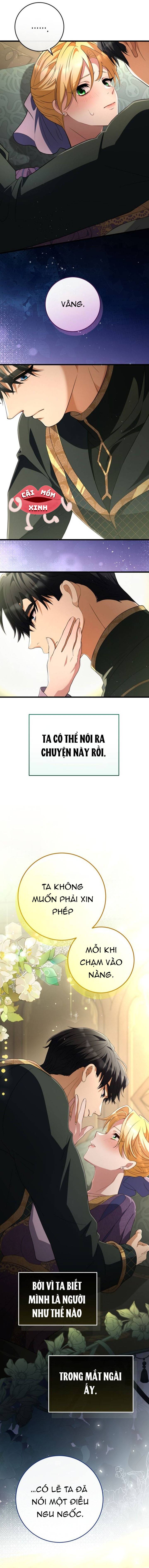 Lời Cầu Hôn Hoang Dã - Chap 40 - Trang 11